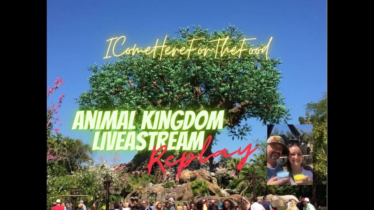 HQ replay of Disney’s Animal Kingdom! What’s NEW?