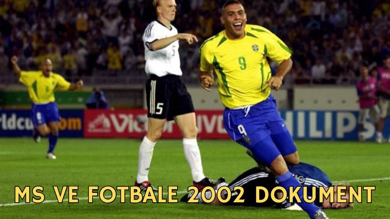 Mistrovství světa ve fotbale 2002 dokument