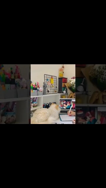 Back-to-school tips 📝