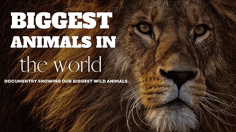 Biggest Animals In The World