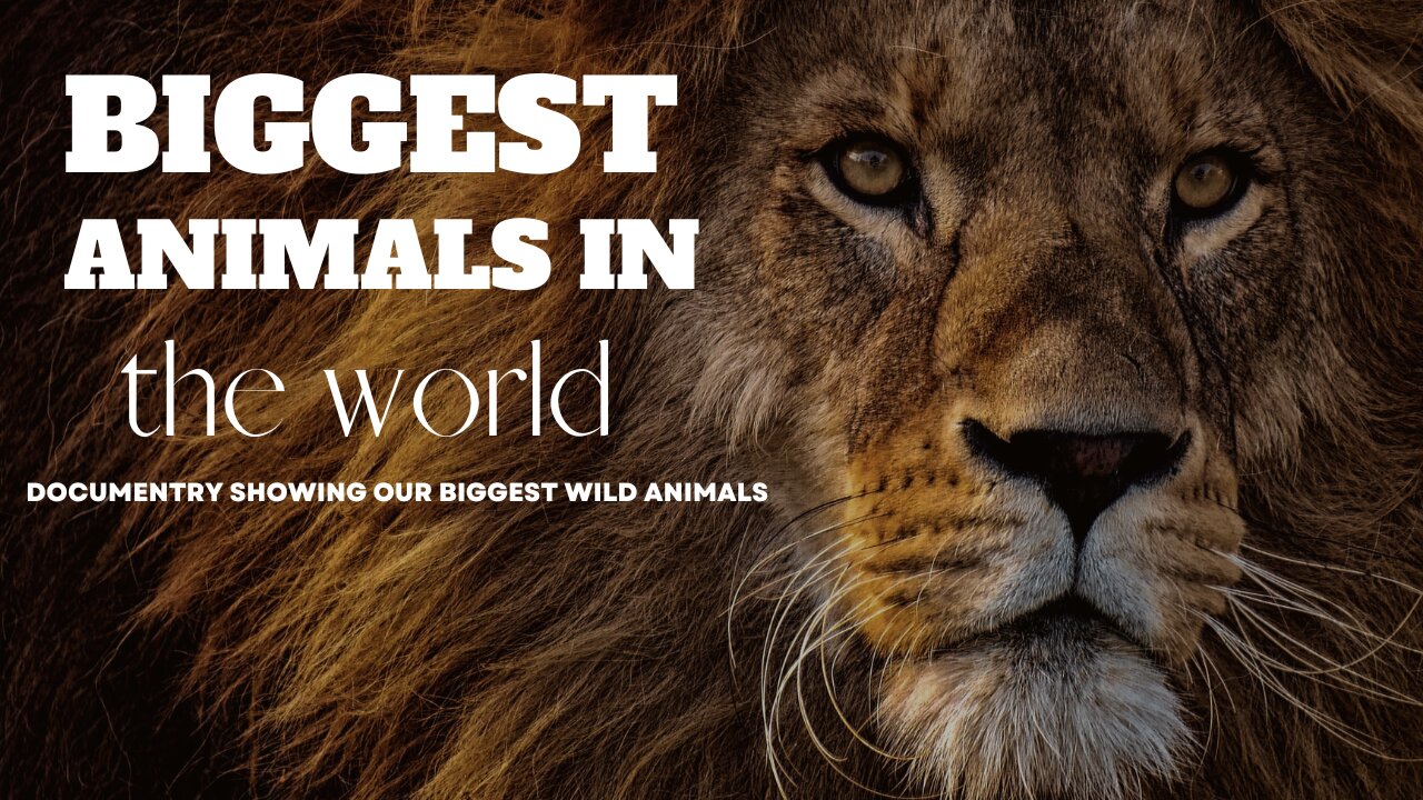 Biggest Animals In The World