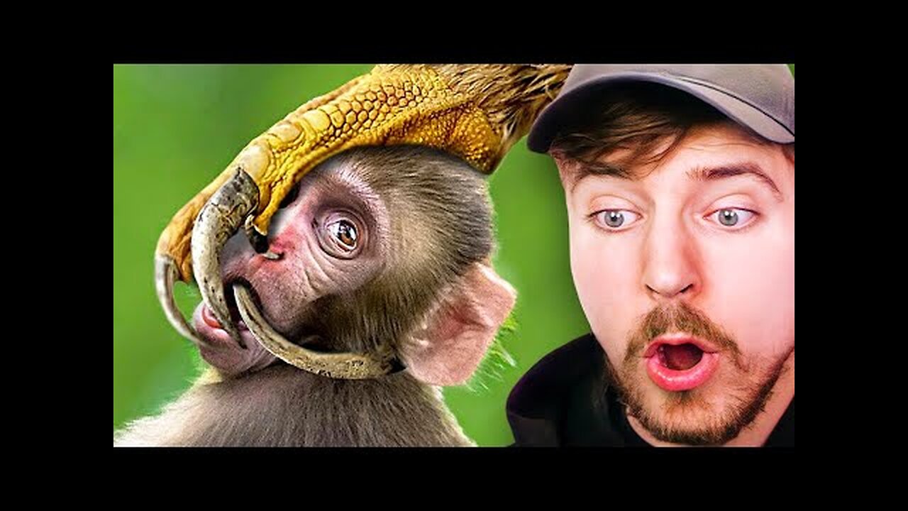Most Dangerous Animals!