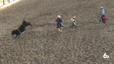 The next generation of professional cowboys and cowgirls making their mark at the Caldwell Night Junior Rodeo