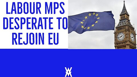 Labour MPs Desperate To REJOIN EU