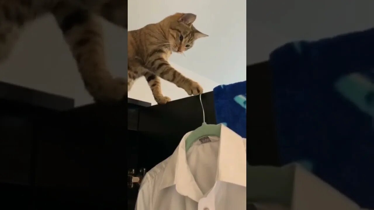 Nope. not here. 😁😂