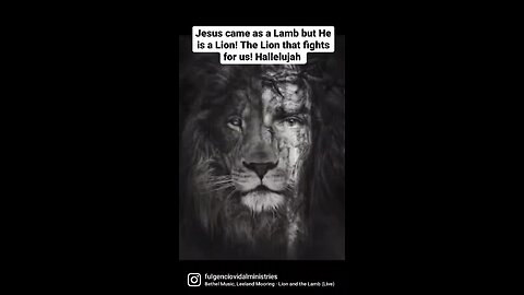 Jesus is the Lion of the Tribe of Judah & the world!