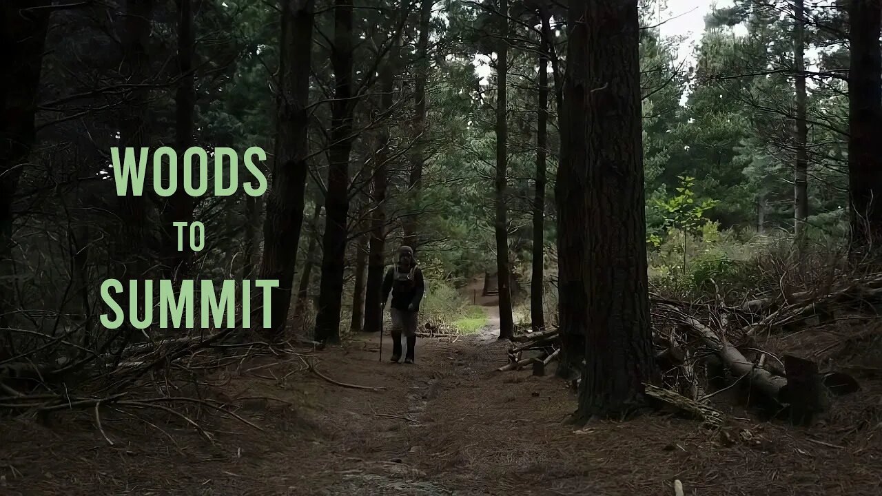 Day Walk from the Woods to the Summit