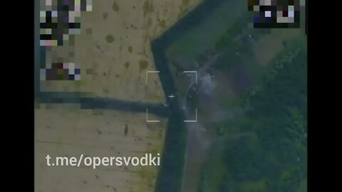 "V" Artillery Units Destroyed Ukrainian Column Of Armored Vehicles Moving Along A Forest Plantation