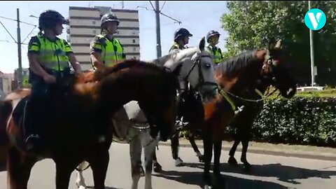 17 juli 2021 _ Vrijheidsactie Nederland Rotterdam