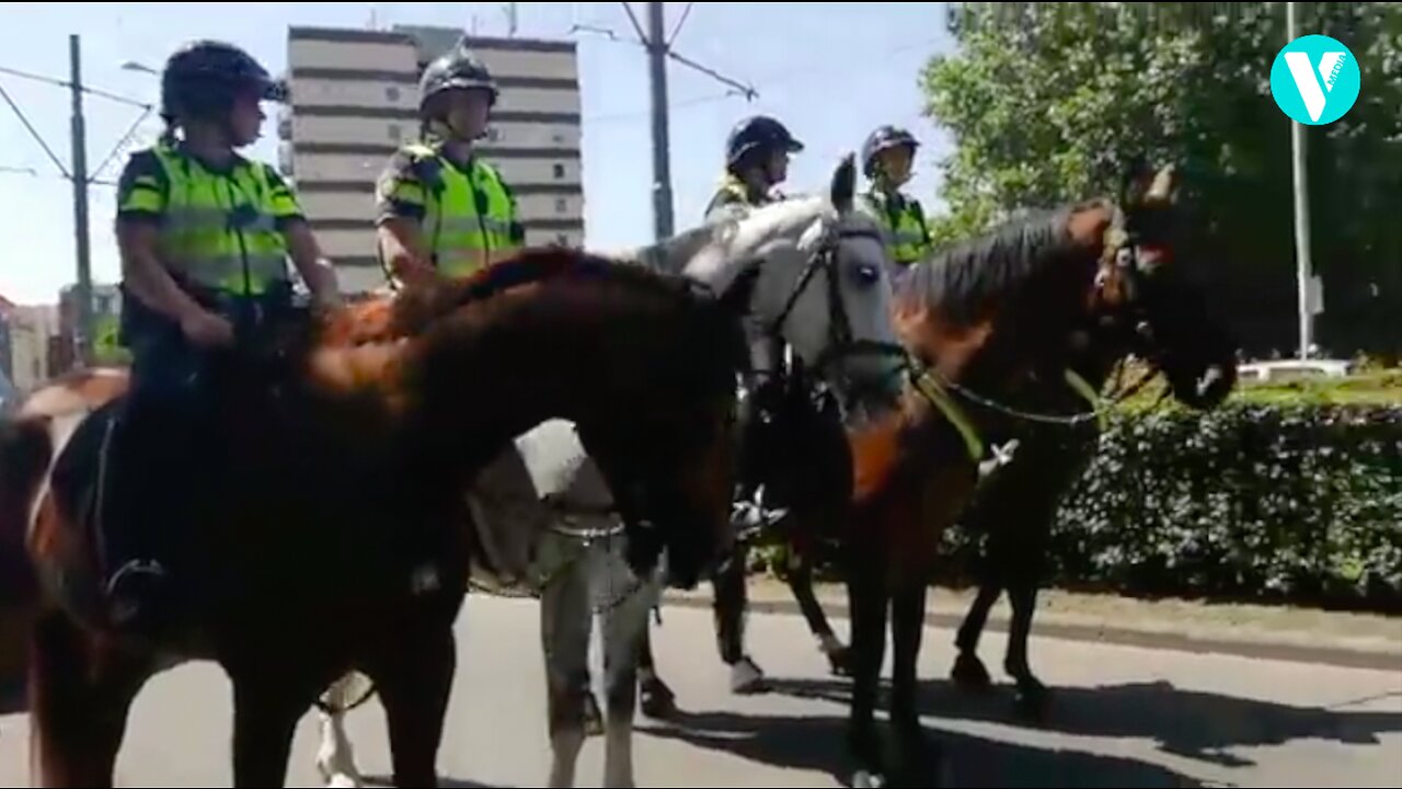 17 juli 2021 _ Vrijheidsactie Nederland Rotterdam