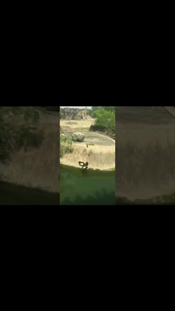 Mother Teaching Children