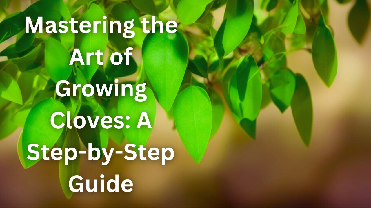 The Art of Growing Cloves: A Step-by-Step Guide