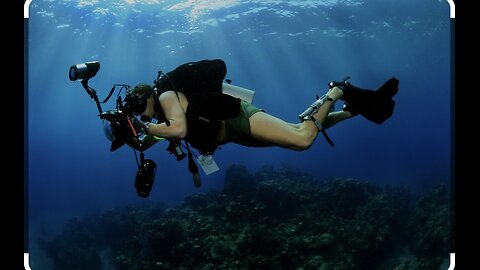 The Colors of the Ocean - The Best 8K Sea Animals for Relaxation & Calming Music