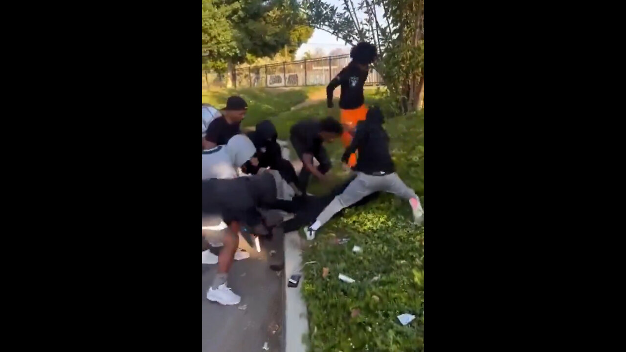 WATCH: 6 BLACK GUYS SAVAGELY BEAT WHITE GUY - but black people can't be racist! Plus, a challenge.