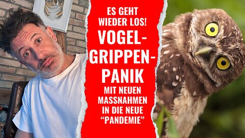Geht die Vogelgrippenpanik viral? Mit neuen Massnahmen in die nächste "Pandemie".