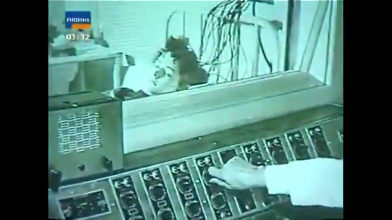 MK-Ultra Documentary - Programmed Assassins - English SUB