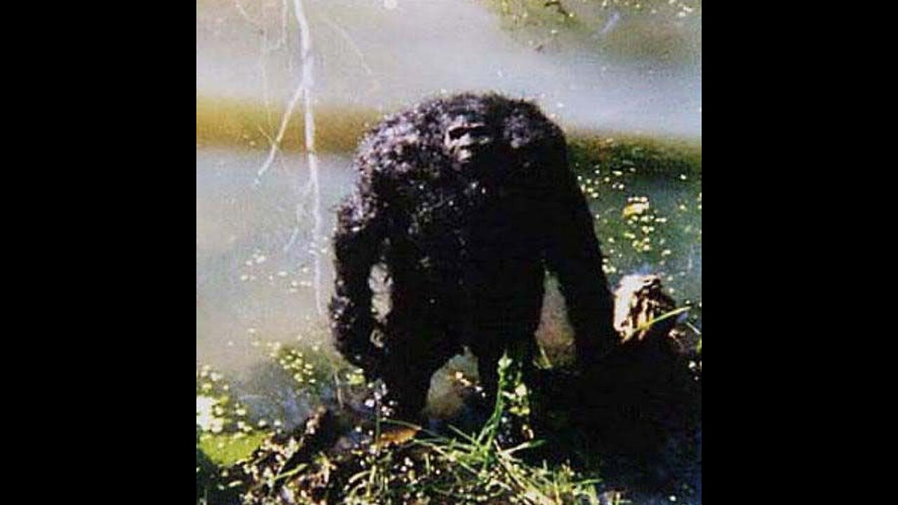 Deep Water Bigfoot