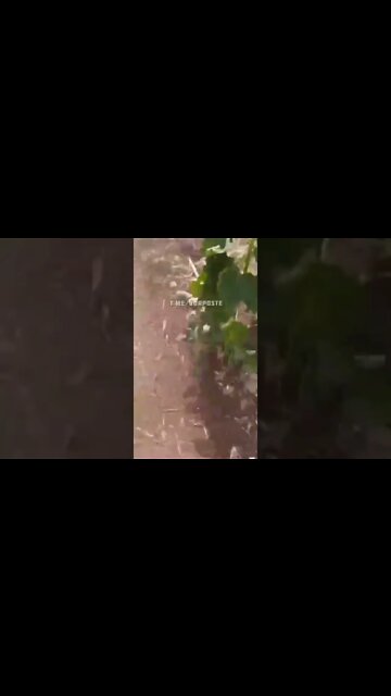 Ukrainian 2S7 "Pion" Suffered A Catastrophic Ammunition Detonation Within The Barrel💥😂💯