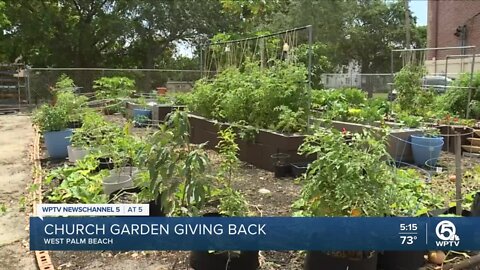 Church community garden helps those with food insecurity