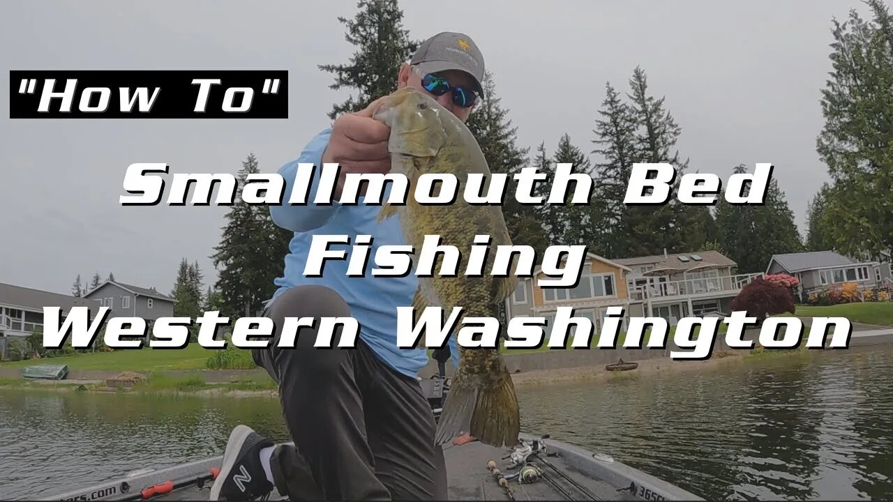 Fishing Smallmouth Beds In Western Washington