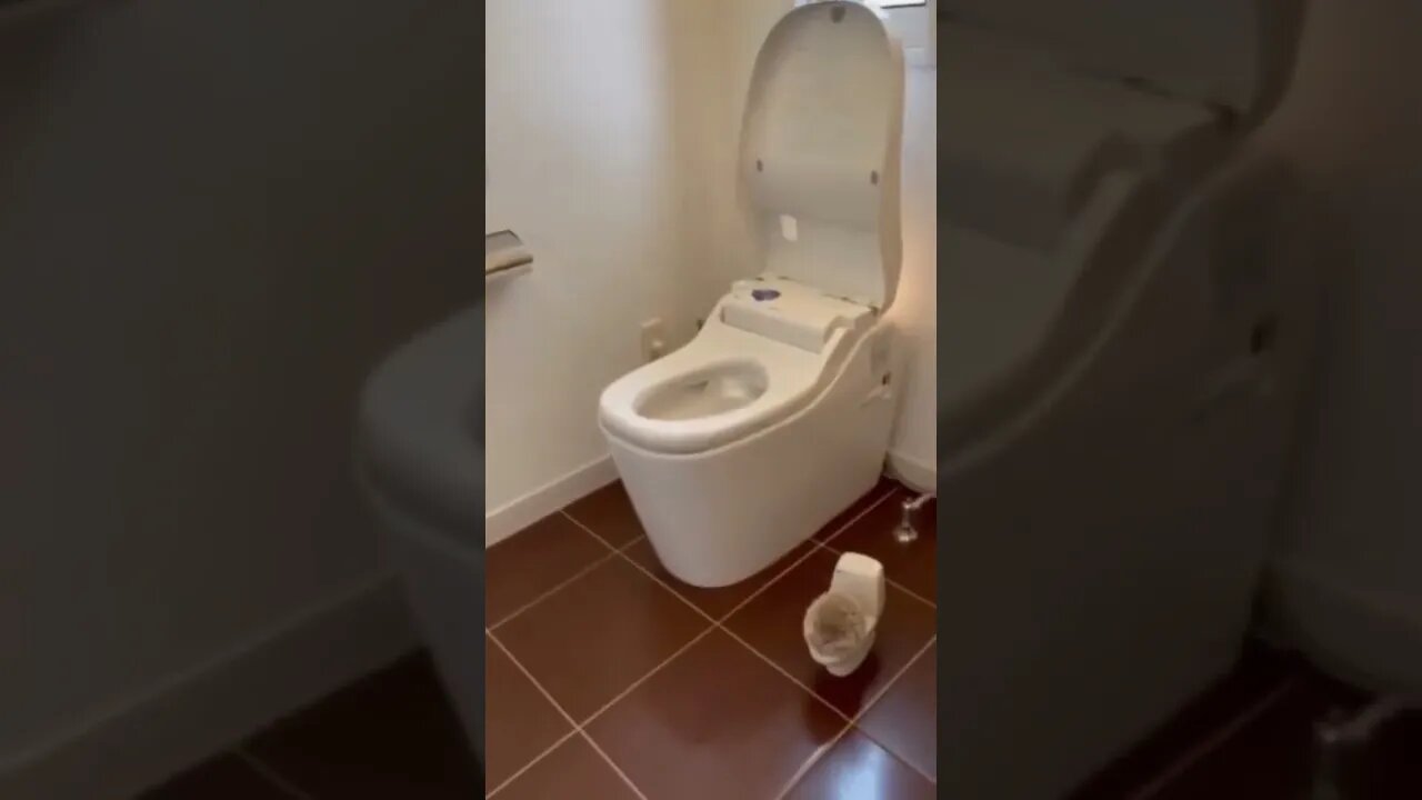 Funny Animals 159 funnycontent707