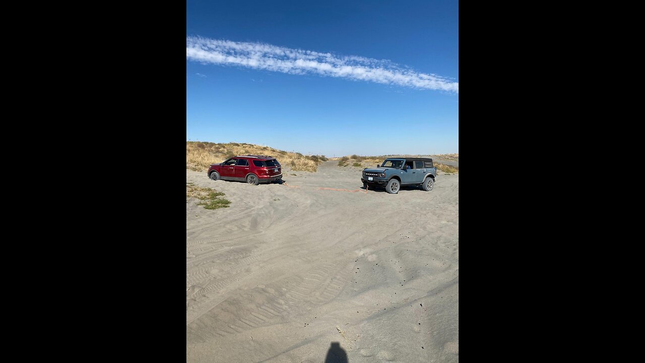 Ford Family