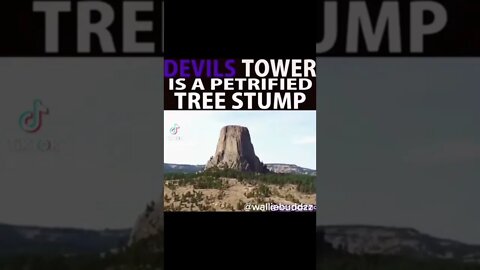 Devils Tower