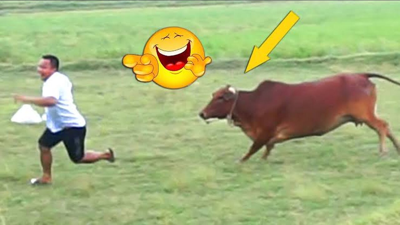 Funny videos | try no to laugh