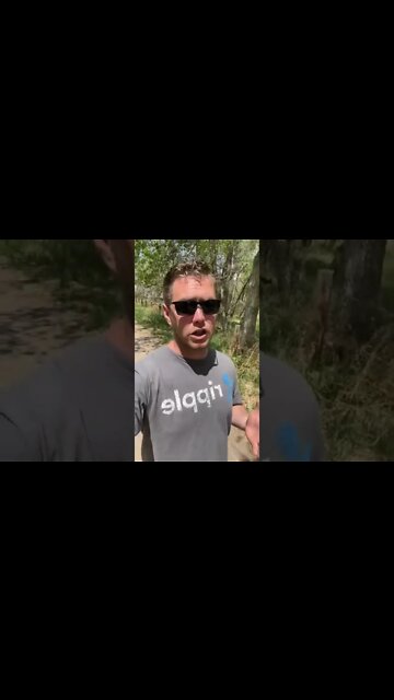 The Bear Market Struggle