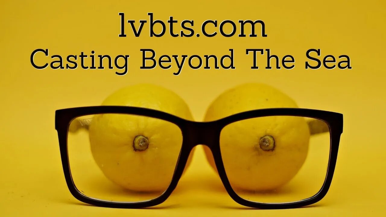 lvbts.com Podcast Invitation for Sexual Detox Book Review