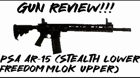 Gun Review: PSA AR-15 (stealth lower freedom mlok upper)