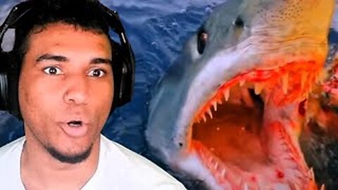 Top Moments In Shark Week