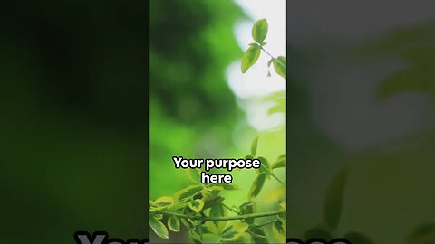 Divine Purpose: Unraveling Your Life's Blueprint