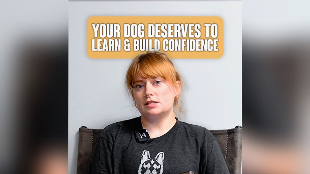 Your dog deserves to learn and build confidence