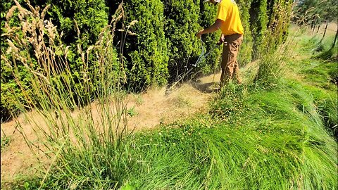 Mowing My Grandpa's Overgrown Lawn | Satisfying Yard Transformation