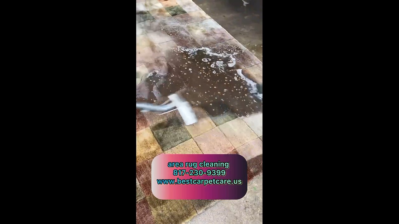 Shag rug cleaning