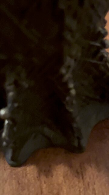 Clay is all set to watch House of the Dragon Tonight!