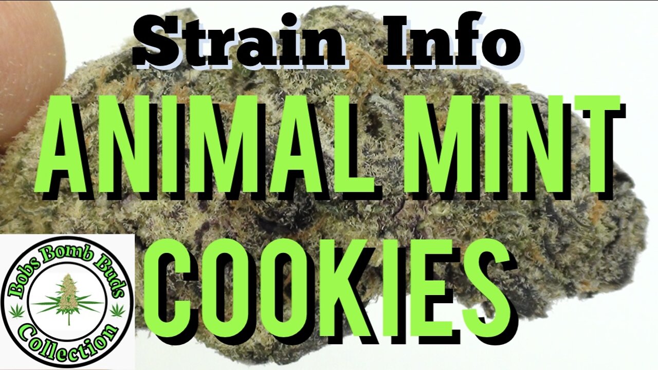 Animal Mint Cookies, One Two Treez