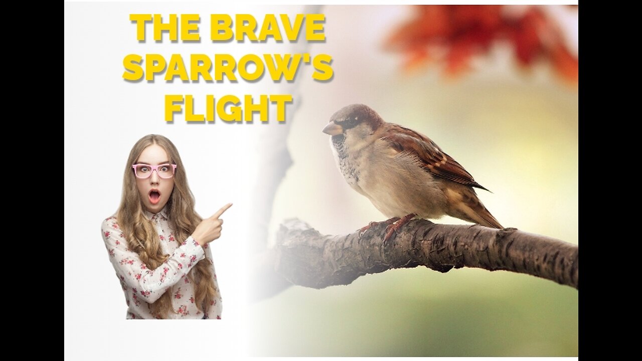 The Brave Sparrow's Flight || बहादुर चिड़िया || by storyteller_haven121