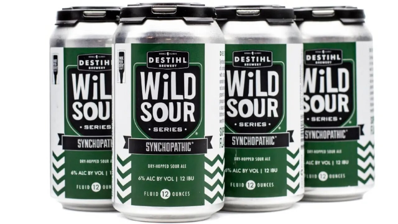 Synchopathic Wild Sour by Destihl Brewery