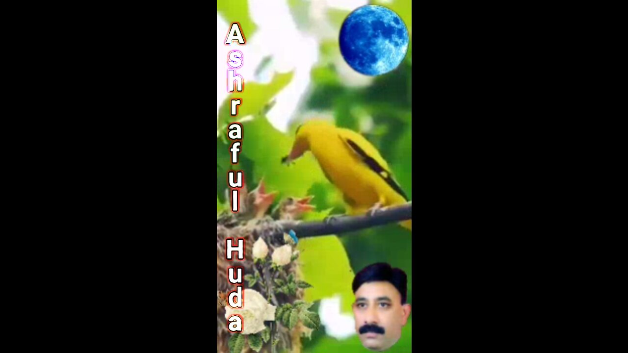 Attractive Views Of Flowers and Birds | پُھلوں اَور چِڑیوں کے دِلکَش نَظَارے