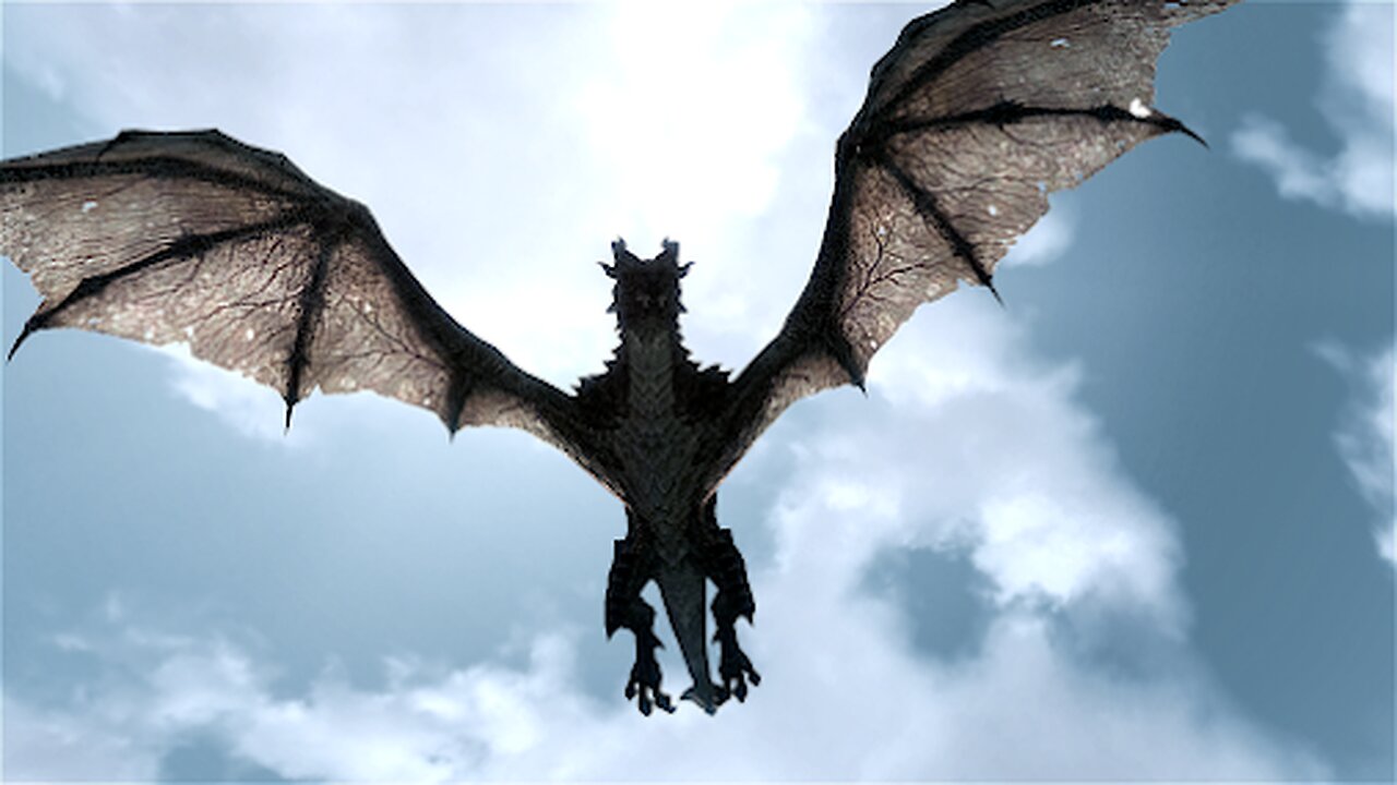 Dragon Caught at North Issaquah Highlands, Washington