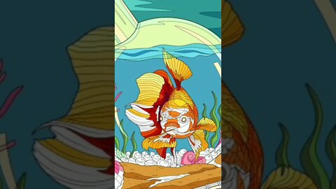 Here is a fish