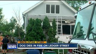 Firefighters investigate early morning fire in North Buffalo