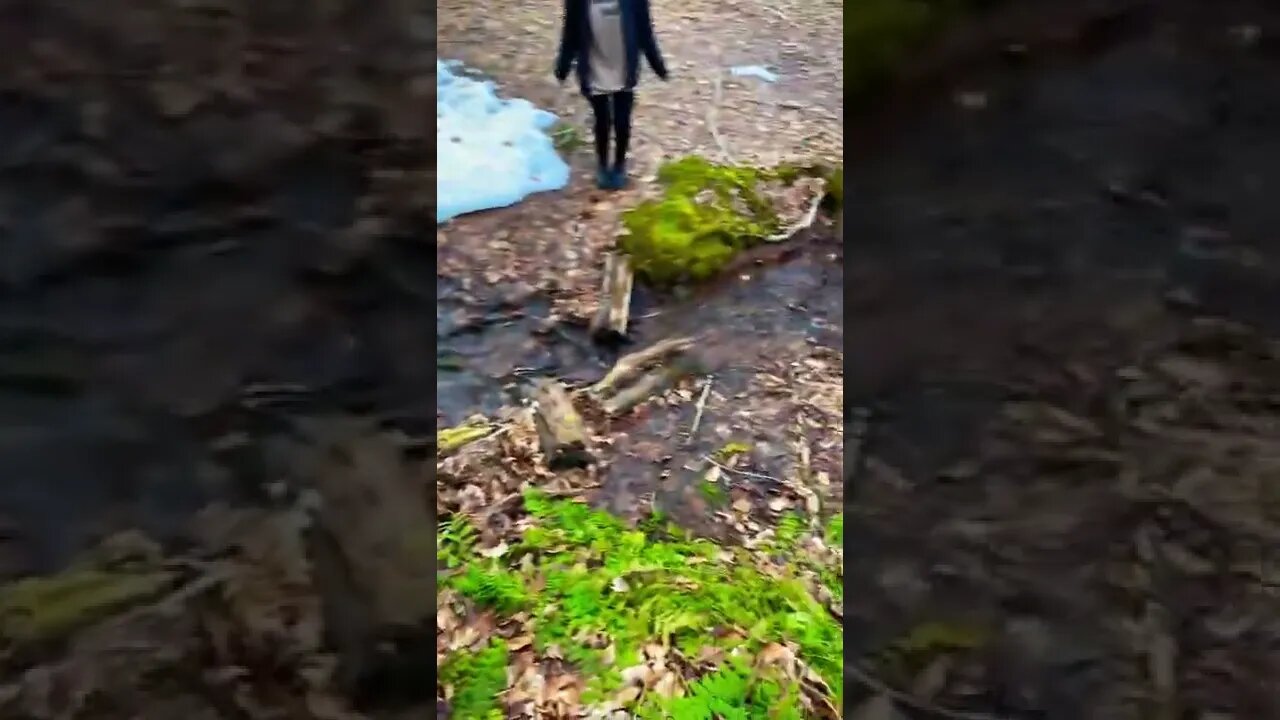 Beautiful nature in Canada