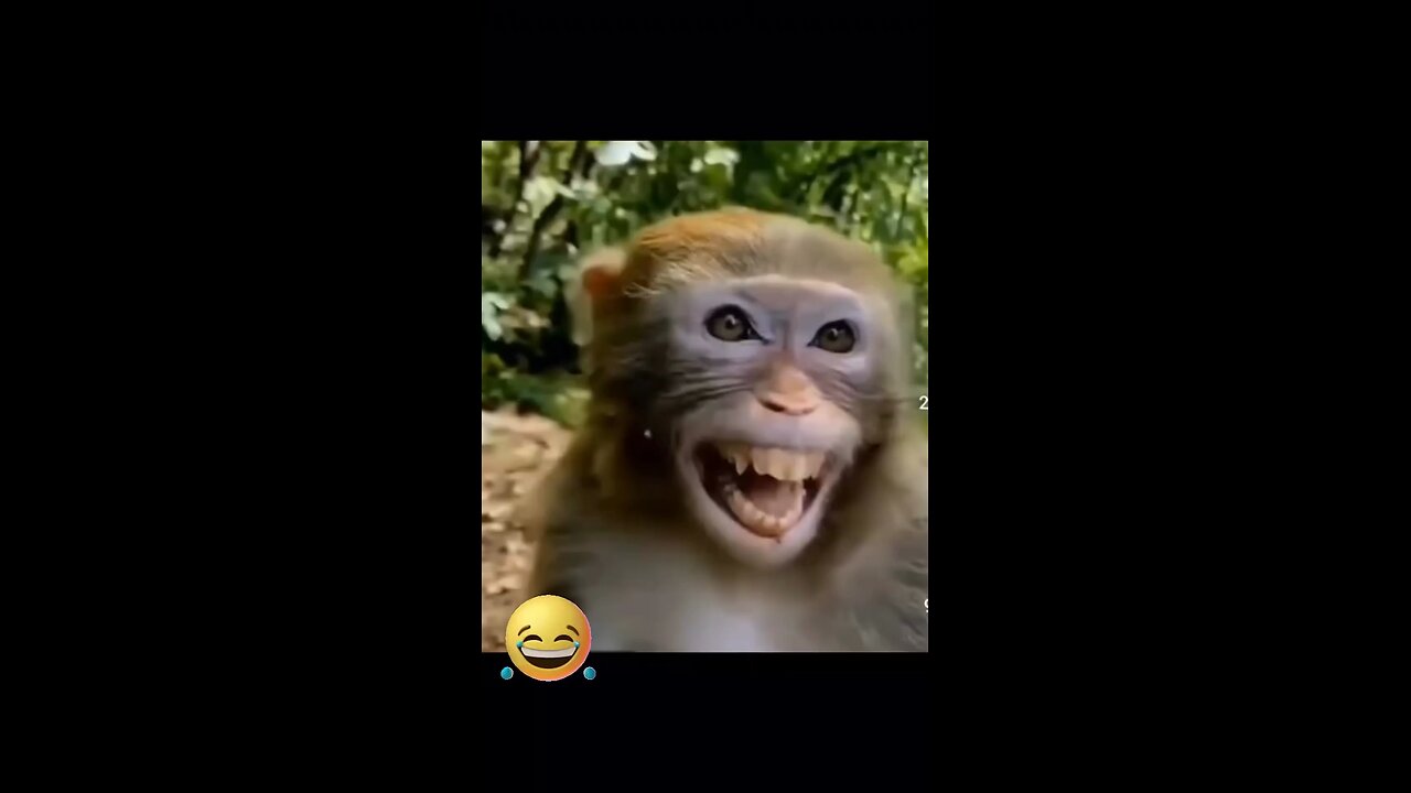 Funny moment