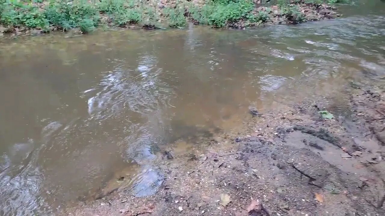 Results from using the Harbor Freight Trencher to clean up the creek.