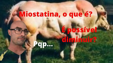 Saiba tudo sobre a miostatina