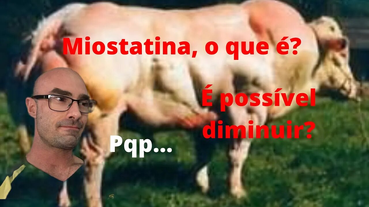 Saiba tudo sobre a miostatina