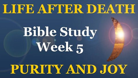 Life and Death: Purity and Joy (Week 5 - Final Week)